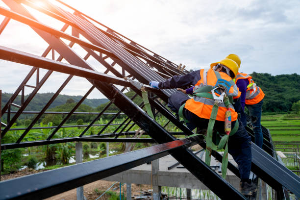 Roof Gutter Cleaning in Las Lomas, CA